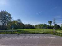 Hundeauslaufgebiet-Ripshorster Hundewiese-Bild