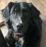 Ersteller:in Andrea Profilbild