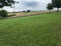 Hundeauslaufgebiet-Hundewiese-Bild