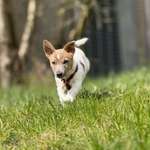 Ersteller:in Sandy Profilbild