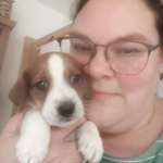 Ersteller:in Susan Profilbild