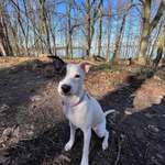 Ersteller:in Elena Profilbild