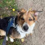 Ersteller:in Kristina Profilbild