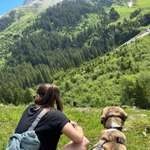 Ersteller:in Julia Profilbild