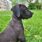 Ersteller:in Nina Profilbild