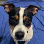 Ersteller:in Buddy Profilbild