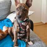 Ersteller:in Nancy Profilbild