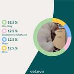 GEN Test-Beitrag-Bild