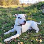 Ersteller:in Sabrina Profilbild