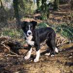 Ersteller:in Ariane Profilbild