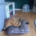 Ersteller:in Daniela Profilbild