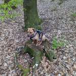 Ersteller:in Luke Profilbild