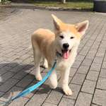 Ersteller:in Alena Profilbild