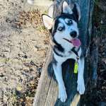 Ersteller:in Tracy Profilbild