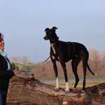 Ersteller:in iris Profilbild