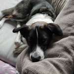 Ersteller:in kirsten Profilbild