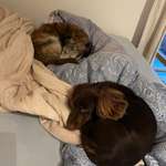 Ersteller:in Nils Profilbild