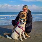 Ersteller:in Vanessa Profilbild