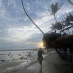 Ersteller:in Maria Profilbild