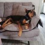 Ersteller:in Marina Profilbild