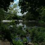 Hundeauslaufgebiet-Zschopau Aue-Bild