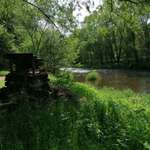 Hundeauslaufgebiet-Zschopau Aue-Bild