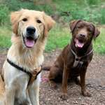 Ersteller:in Katharina Profilbild