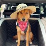 Ersteller:in Verena Profilbild