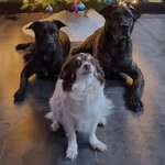 Ersteller:in Rene Profilbild