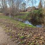 Hundeauslaufgebiet-Rudower Fließ-Bild