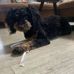 Ersteller:in Ludmilla Profilbild