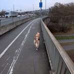 Ersteller:in Flo Profilbild