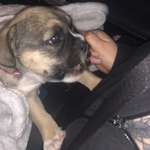 Ersteller:in Laura Profilbild