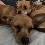 Ersteller:in Josie Profilbild