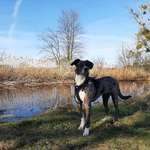 Ersteller:in Zoe Profilbild