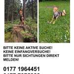 Suchmeldung-Pina-Bild