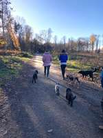 Hundeauslaufgebiet-Hoher Busch-Bild