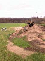 Hundeauslaufgebiet-Hoher Busch-Bild