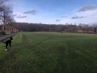 Hundeauslaufgebiet-Hoher Busch-Bild