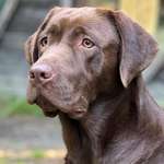 Ersteller:in Nicole Profilbild