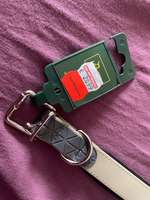 Neues Halsband von HUNTER 60 cm-Beitrag-Bild