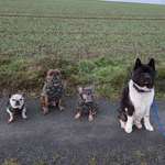 Ersteller:in Stephie & David Profilbild