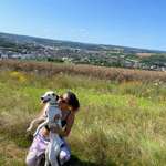 Ersteller:in Dena Profilbild