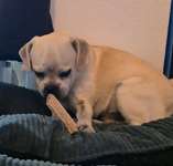 Kauspaß für kleine und große Schlinger-Beitrag-Bild