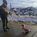 Unterschiedliches verhalten drine und draussen-Beitrag-Bild