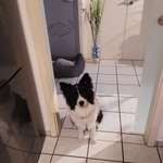 Ersteller:in Silvana Profilbild