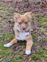 DNA Tests-Beitrag-Bild