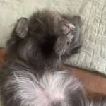 Ersteller:in Manuela Profilbild