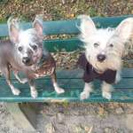 Ersteller:in Emilia Profilbild