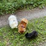 Ersteller:in Sandra Profilbild